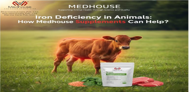 Iron Deficiency in Animals: How Medhouse Supplements Can Help?