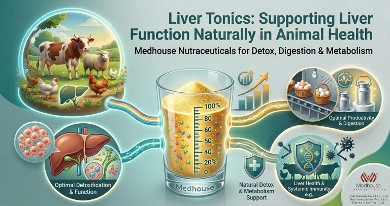 Liver Tonics: Supporting Liver Function Naturally in Animal Health